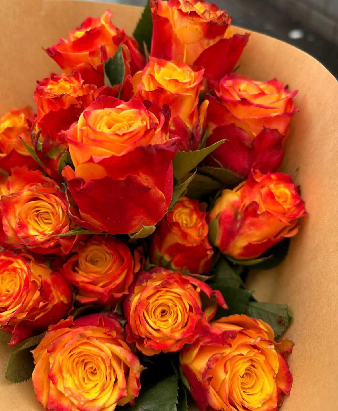 Rose“Flame”火焰 Cut Flower Rose Live Shrub, 2 Gallon